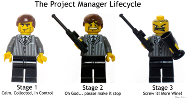 Project Manager Lifecycle